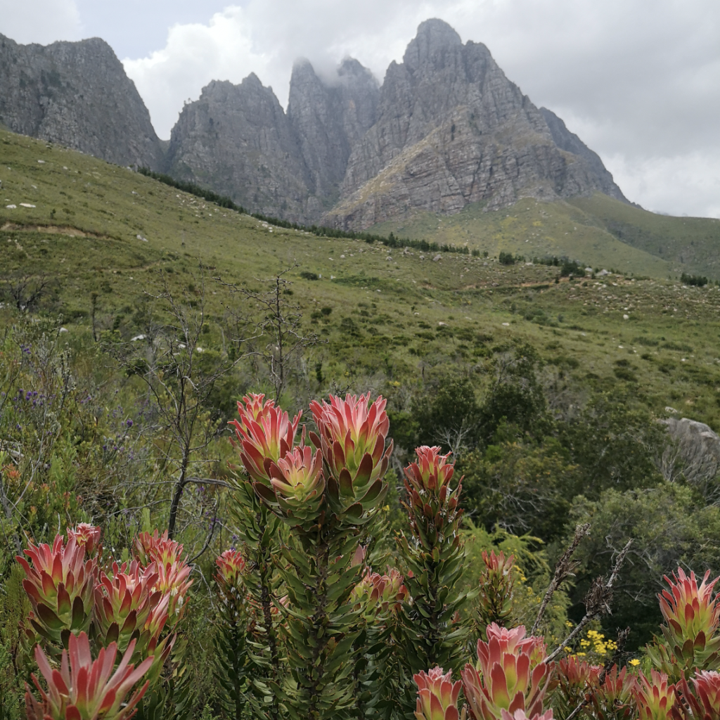 Bildschirmfoto 2024-11-26 um 22.31.24