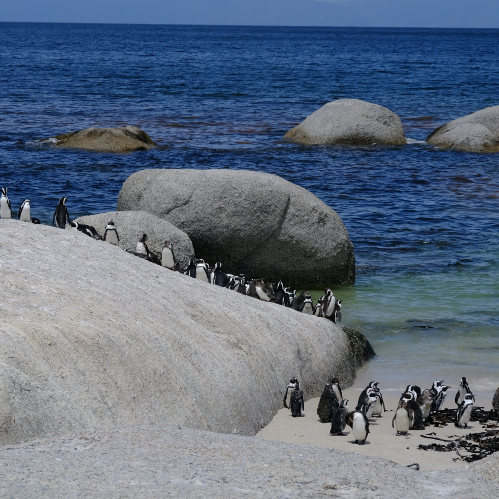 Bildschirmfoto 2024-11-26 um 22.32.58