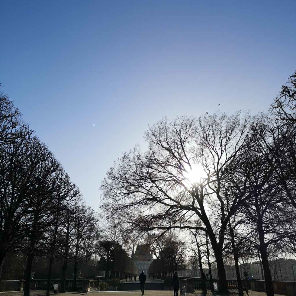 Bildschirmfoto 2024-11-26 um 23.25.32