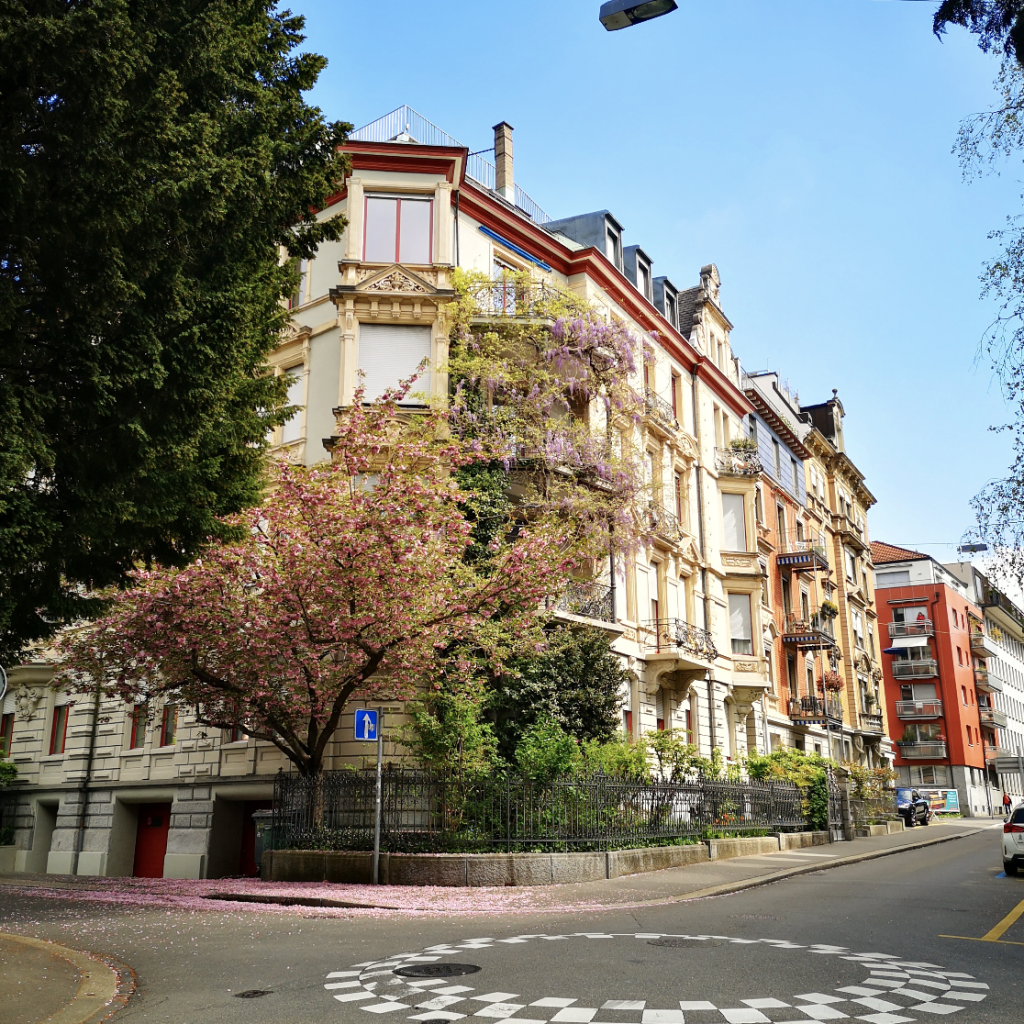 Bildschirmfoto 2024-11-26 um 23.34.13