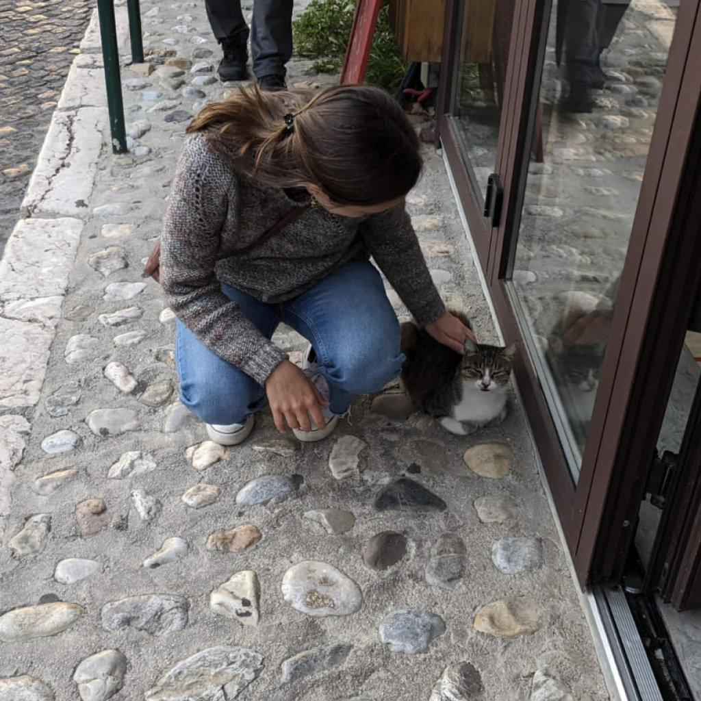 Bildschirmfoto 2024-11-26 um 23.43.18