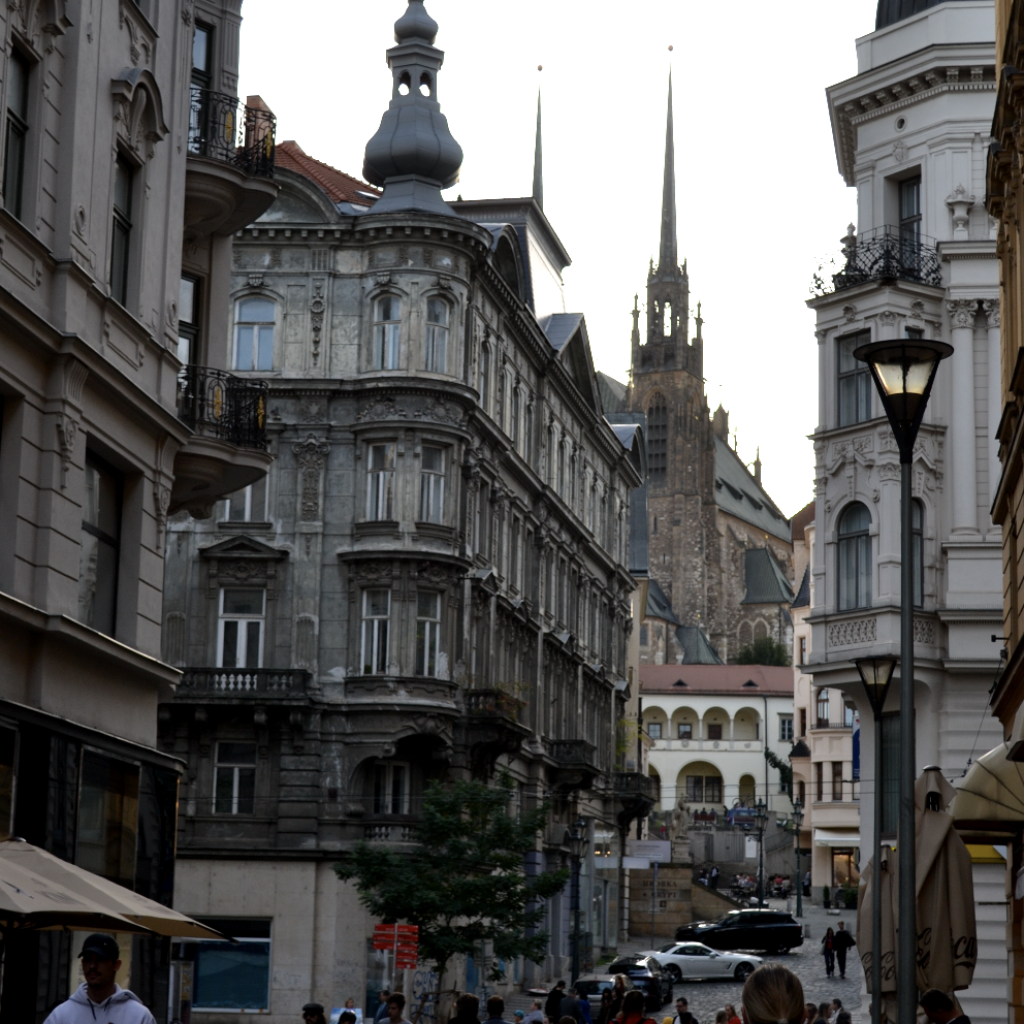 Bildschirmfoto 2024-11-26 um 23.49.34