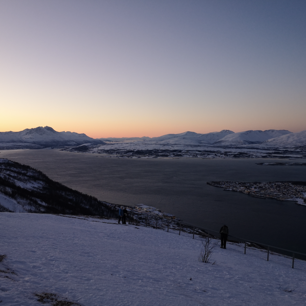 Bildschirmfoto 2024-11-26 um 23.51.14