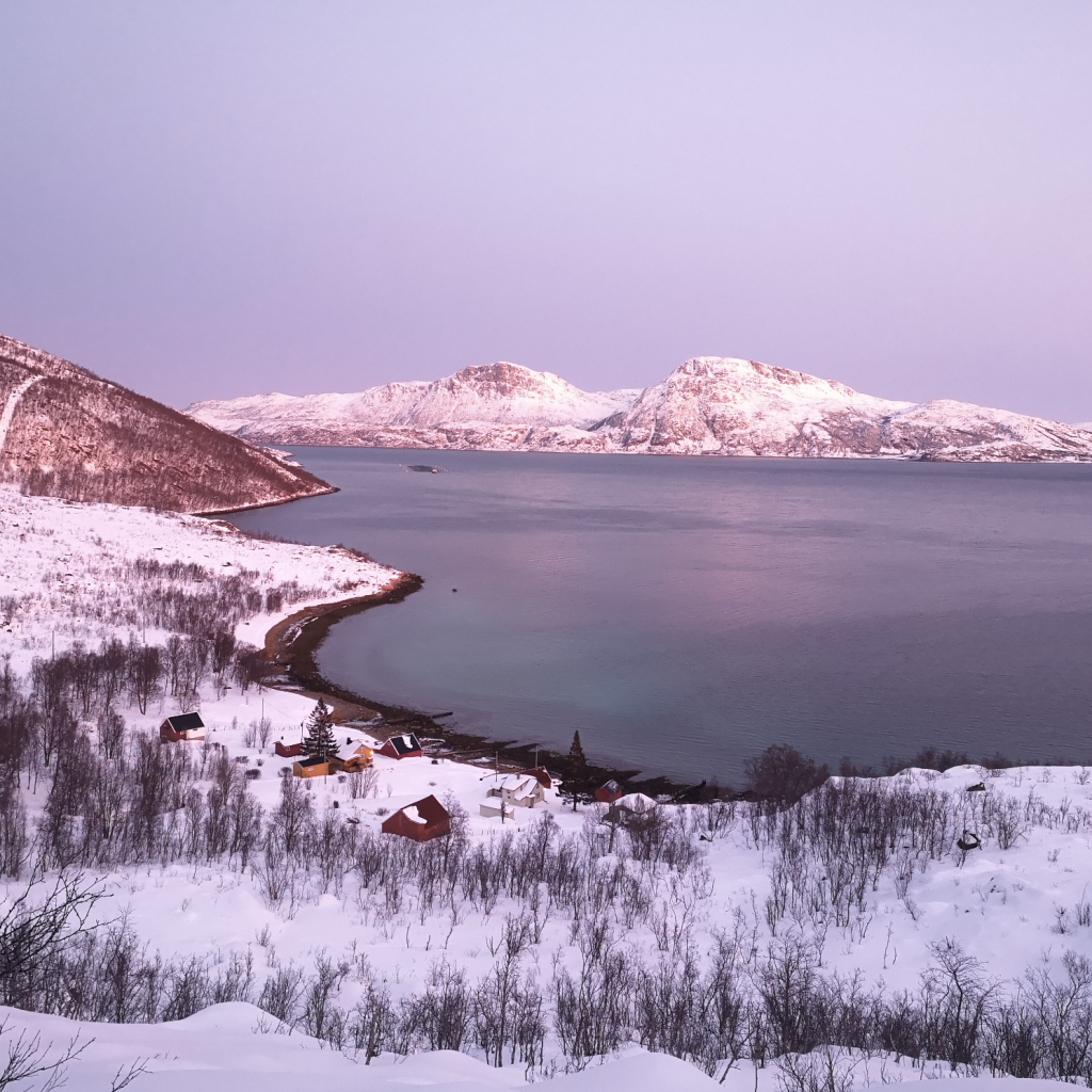 Bildschirmfoto 2024-11-26 um 23.52.07